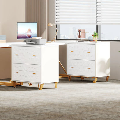2-Drawer Lateral File Cabinet for Legal/Letter/A4 Size Files