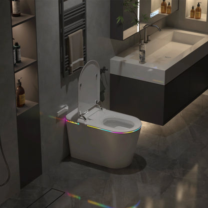 Smart Bidet Toilet Seat with Heated Seat & Warm Air Dryer