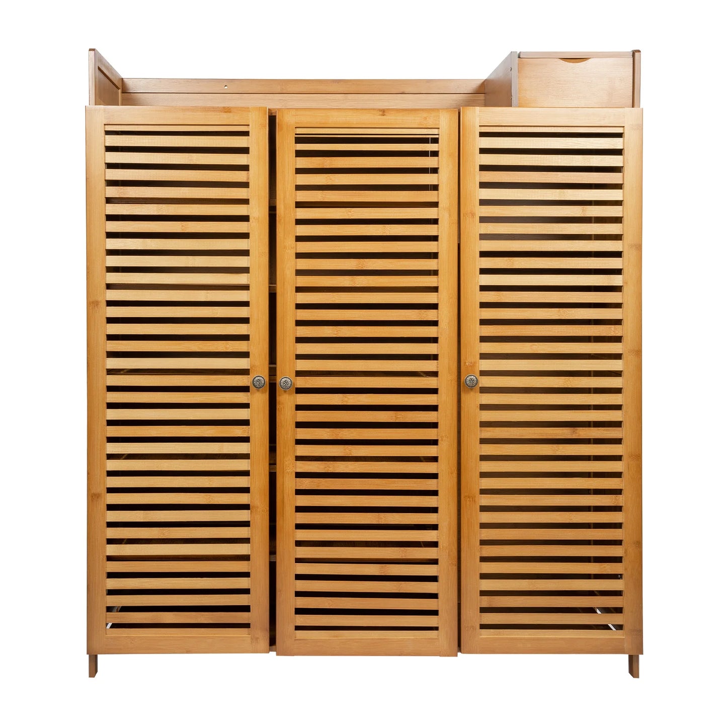 Modern Shoe Cabinet with Doors, Large Capacity for 30 Pairs