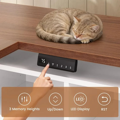 L Shaped Electric Standing Desk with Storage Shelves & LED Lights