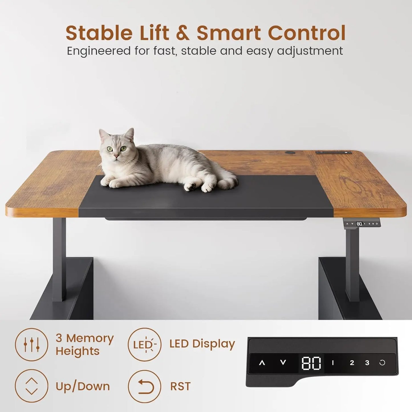 Adjustable Standing Executive Desk with Storage & Power Outlets