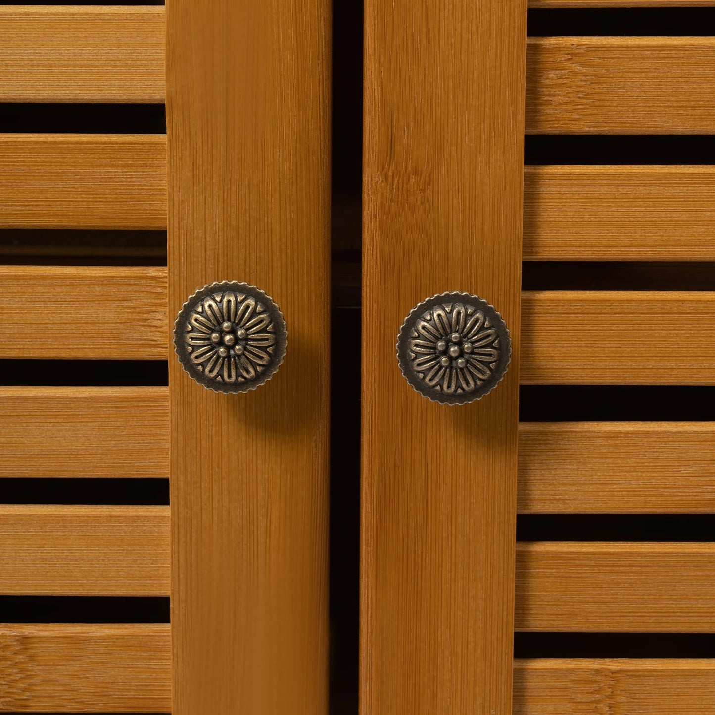 Modern Shoe Cabinet with Doors, Large Capacity for 30 Pairs